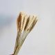 thumbnail image 2 of 100pcs Natural Dried Wheat Flowers, Wheat Flower Bouquet Dried Wheat Stalks Dried Wheat Ear Dried Wheat Sheaves for Home Table Balcony Wedding F, 2 of 5