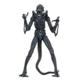 thumbnail image 3 of NECA - Alien- 7 Scale Action Figures - Ultimate Warrior - (1986) Blue Alien, 3 of 5