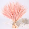 thumbnail image 1 of Flores artificiales de oreja de trigo de 23cm, flores secas naturales para decoración del hogar, mesa, decoración de boda, ramo de flores preservadas DIY Tan Jianjun unisex, 1 of 2
