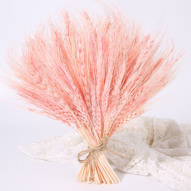 Flores artificiales de oreja de trigo de 23cm, flores secas naturales para decoración del hogar, mesa, decoración de boda, ramo de flores preservadas DIY Tan Jianjun unisex
