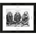 thumbnail image 3 of Hear No Evil, See No Evil, Speak No Evil, Animals Framed Art Print Wall Art, 3 of 6