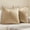 Beige, variant on Dark Gold Velvet Throw Pillow Covers 18x18 Soft Decorative Solid Square Cushion Cases Pack of 2 Modern Luxury Home Decor for Couch Sofa Bedroom