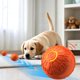 thumbnail image 3 of Juguete para perros con movimiento automático, pelota interactiva que rebota con modos de vibración y salto para jugar en interiores y exteriores, limpiar los dientes y estimular la mente, 3 of 7