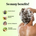 thumbnail image 3 of Tea Tree Oil Shampoo Sulfate Free Shampoo - Maple Holistics Tea Tree Oil Dry Scalp Shampoo For Oily Hair with Rosemary - Scalp Care Hydrating Shampoo for Women & Men with Natural Essential Oils, 3 of 10