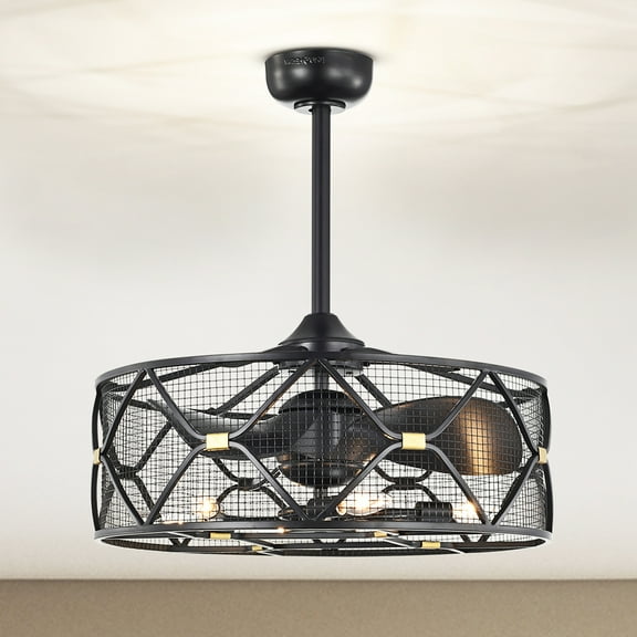 Nelle 24.3 in. Indoor Black Finish Ceiling Fan with Light Kit and Remote