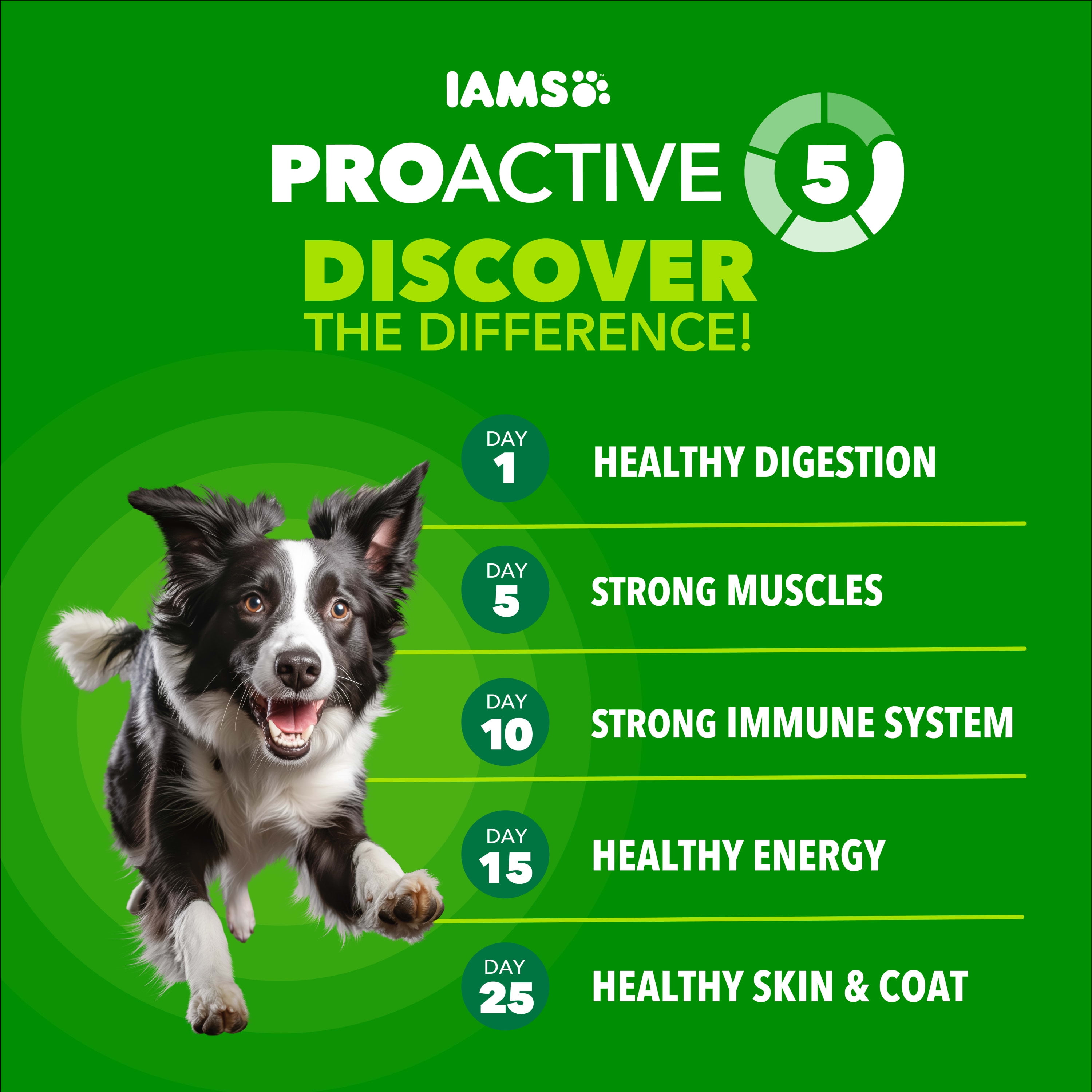 IAMS Proactive Health High Protein Dry Dog Food With Chicken & Beef, 15 Lb Bag