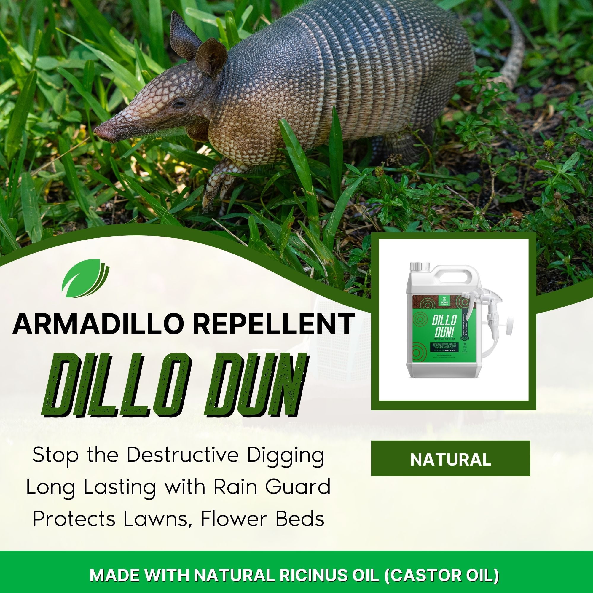 Zone Protects Dillo Dun! Armadillo Repellent; Stops Armadillos from Digging