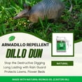 thumbnail image 4 of Zone Protects Dillo Dun! Armadillo Repellent; Stops Armadillos from Digging, 4 of 6