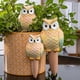 thumbnail image 4 of Injueey Accesorios para plantas, clavo de riego automático fácil para humedad equilibrada, macetas grandes para jardín de plantas al aire Jardín y Patio, 4 of 6