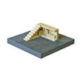 thumbnail image 2 of Ziterdes Dunkelstadt - Monte Christo (Special Edition) New, 2 of 2