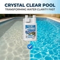 thumbnail image 3 of Waters Choice Concentrated Pool Enzymes, 16 oz, 3 of 7
