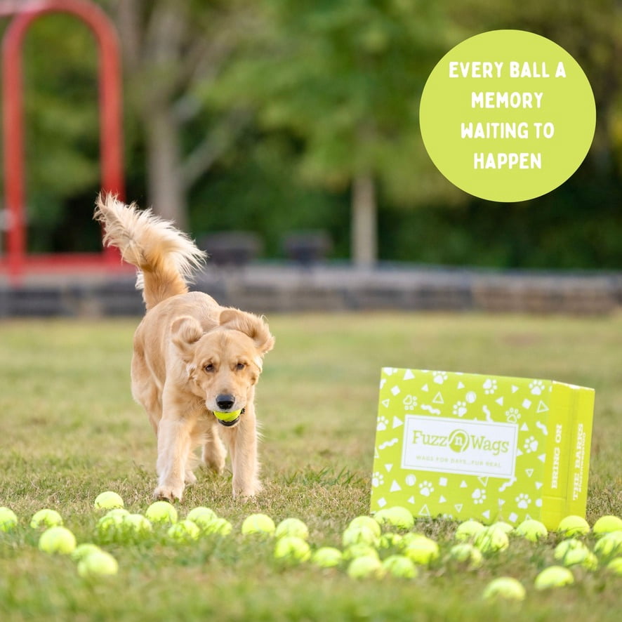 100 Tennis Balls Finished with the Courts, Now Ready for Your Dog’s Playtime: Support USA Tennis Ball Recycling NonProfit: Bulk 100 Tennis Balls for Dogs, Tennis Balls for Dogs Bulk,