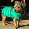 thumbnail image 2 of Alpine Extreme Weather Puffer Coat - Arcadia - 3X-LARGE, 2 of 3