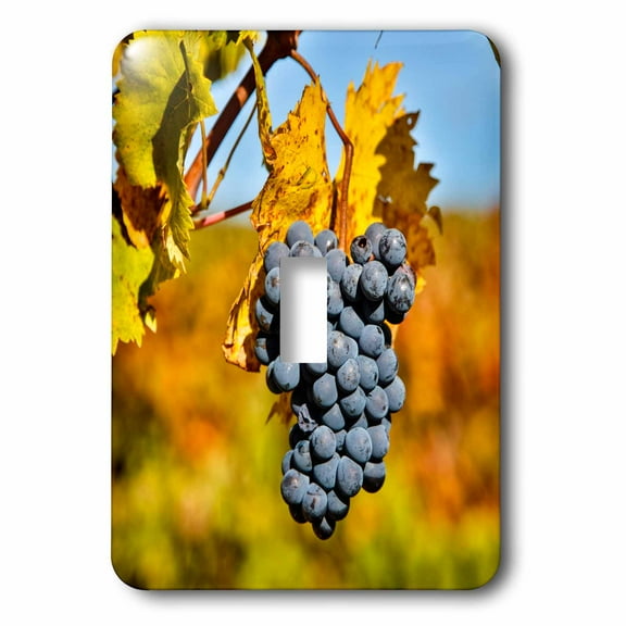 3dRose, Italy, Tuscany, Grapes Past Harvest, single toggle switch
