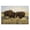 Southwestern Bison Duo, variant on Stupell Industries Rustic Lodge Bison Sunset on Golden Prairie Black Floating Frame Canvas Art, 25 x 17, by Nathan Larson