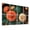 Color 2, variant on 8 Pack Art Acoustic Panels Sound Absorbing Brick Building Overgrown Greenery Dense Forest Decorative Soundproof Wall Panels Self Adhesive for Nursery Game Room Bedroom 48"x32"