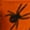 Spiders,Orange, variant on Forza Sports 180" Mexican Style Boxing and MMA Handwraps - Comic Book Lime Green