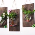 thumbnail image 4 of Tablero de madera + jarrón con forma de ratón para colgar en la pared, decoración de fondo, planta hidropónica, colgante de pared, jarrón pequeño de vidrio de eneldo verde, 4 of 7