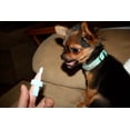 thumbnail image 4 of Virbac C.E.T. Mini Toothbrush & Poultry Toothpaste Combo for Pets, 4 of 4