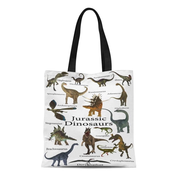 ASHLEIGH Canvas Tote Bag Jurassic Dinosaurs 3D This Is Collection of Various Including Durable Reusable Shopping Shoulder Grocery Bag