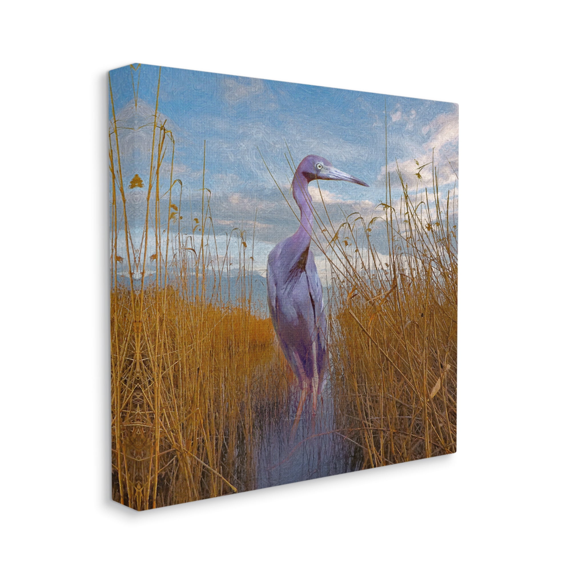 Stupell Egret Beach Reeds Coastal Grasses Landscape Painting Gallery Wrapped Canvas Print Wall Art