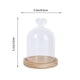 thumbnail image 2 of unbranded Flower Glass Cover Transparente Con Base De Madera Para Exhibición Y Floral, 2 of 6