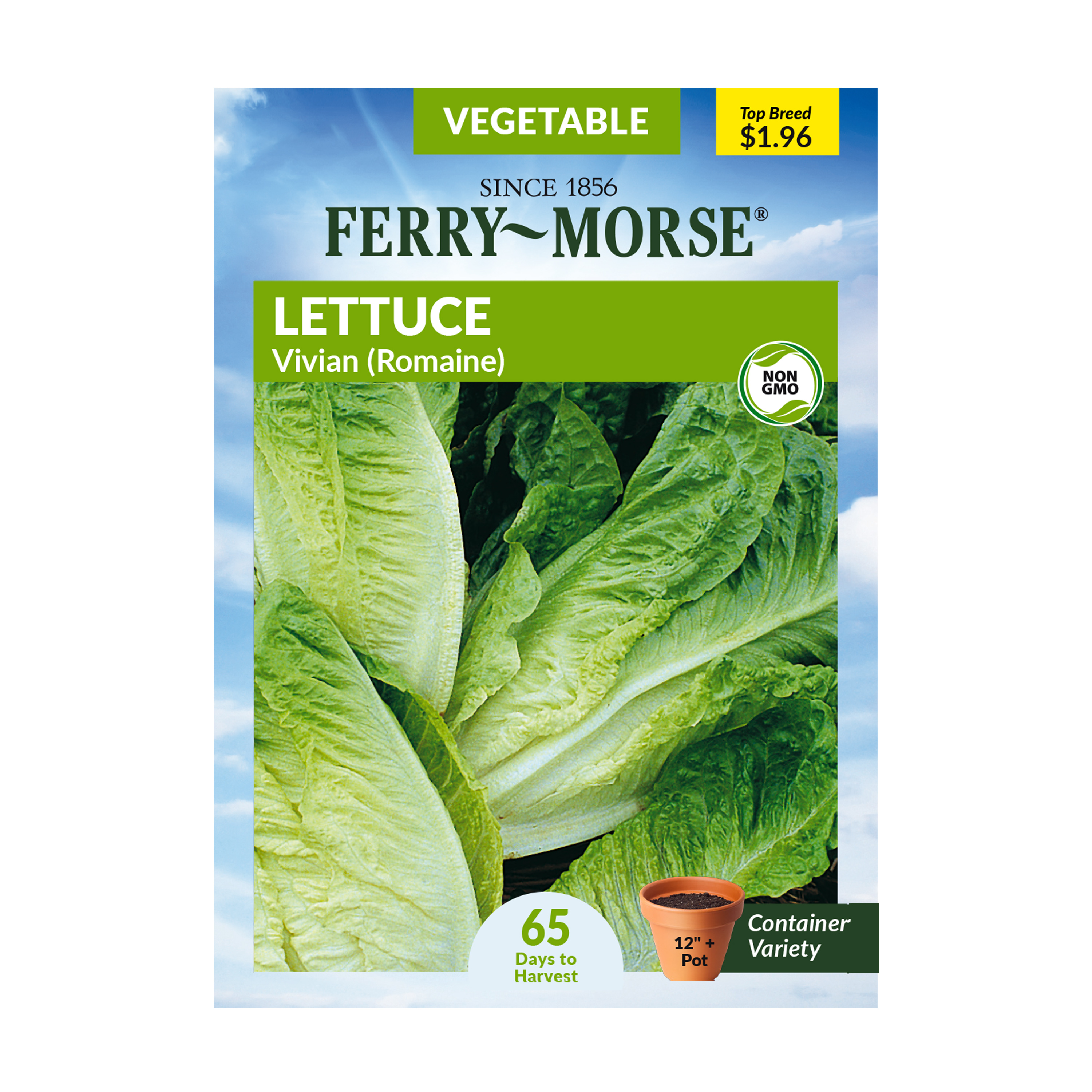FerryMorse Premium Lettuce Vivian Vegetable Plant Seeds Packet Seed