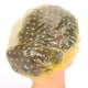 thumbnail image 5 of Diseño Desechable Gorro De Ducha Fácil De Usar Gorro De Ducha Herramientas De Salón De Belleza Tienda De Salón De Belleza Herramientas De Lavado Y Aseo Para Estilistas ANGGREK Otros, 5 of 8