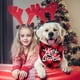 thumbnail image 3 of STMK Paquete de 3 pañuelos para perros navideños, Halloween, Día de Acción de Gracias, Navidad, pañuelos para perros, truco o trato, pavo, catador, feliz Navidad, pañuelo para perros grandes, disfrace, 3 of 3