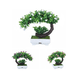 thumbnail image 2 of Árbol Bonsaí Artificial Con Maceta Hogar Y Oficina flores blancas Belug,  Blanco, 2 of 4