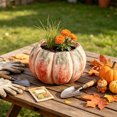 thumbnail image 5 of MYUNNIL Halloween Pumpkin Shaped Planter, Vintage Rustic Pumpkin Resin Flower Pot with Faded Texture Desigh, Durable Practical Decorative Container for Indoor Garden Yard Decor, 5 of 6