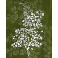 thumbnail image 2 of Burghardt, James 26x32 Black Ornate Wood Framed with Double Matting Museum Art Print Titled - Jewel Ferns III, 2 of 4