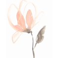 thumbnail image 2 of Goldberger, Jennifer 26x32 White Modern Wood Framed Museum Art Print Titled - Blush Petals I, 2 of 4