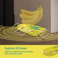 thumbnail image 4 of ZingZap Roach Glue Trap Banana 13-Pack, Capsulated Natural Ingredients Bait, 2X Faster Catch, Sticky Glue Trap for Roaches, Ants, Millipedes, Silverfish & Beetles, Children-&-Pet-Safe, 4 of 8