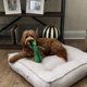 thumbnail image 3 of Juguete de peluche para perros NQ verde 20 cm, 3 of 5