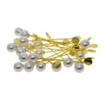 thumbnail image 1 of AMLESO 20 PCS Brooch Pins Back Jewelry Needles Closure for Brooch Craft Golden, 1 of 8
