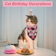 thumbnail image 4 of Decoraciones de Cumpleaños para Gatos Unique Bargains Sombrero y Bandana para Gatos, 4 of 7