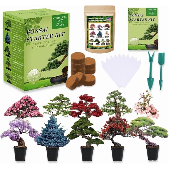 HIGHGW Kit de Graines de Bonsaï pour Arbre 10 Variétés Populaires Pots de Sol Marqueurs de Plantes Kit de Départ de Bonsaï avec Guide de Culture