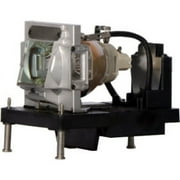 Replacement Lamp