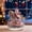 #New--A, variant on Christmas Tree Santa Claus Snowman Decoration Ornament 2D Flat Holiday Gift Gold Series