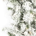 thumbnail image 2 of Vickerman 48" Flocked Kiana Artificial Christmas Wreath, Warm White Dura-Lit® LED Mini Lights, 2 of 7