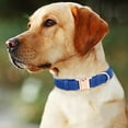 thumbnail image 3 of Pet Collars Leather Dog Collar with Engraved Metal Buckle Custom Padded Reflective Options for Small Medium Large Breed Dogs, 3 of 3