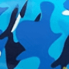 p6camoblue