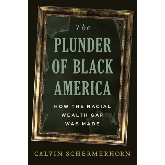 The Plunder of Black America: How the Racial Wealth Gap Was Made, (Hardcover)