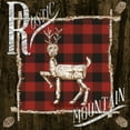 thumbnail image 2 of Ritter, Gina 15x15 Black Ornate Wood Framed with Double Matting Museum Art Print Titled - Rustic Birch Trail II, 2 of 4