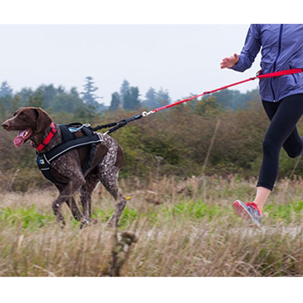 canine equipment ultimate pulling dog harness