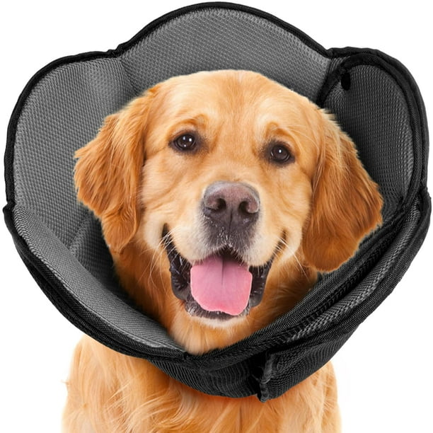 Dog cone post surgery hot sale