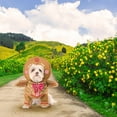 thumbnail image 2 of Gingerbread Pup Pet Costume, 2 of 5