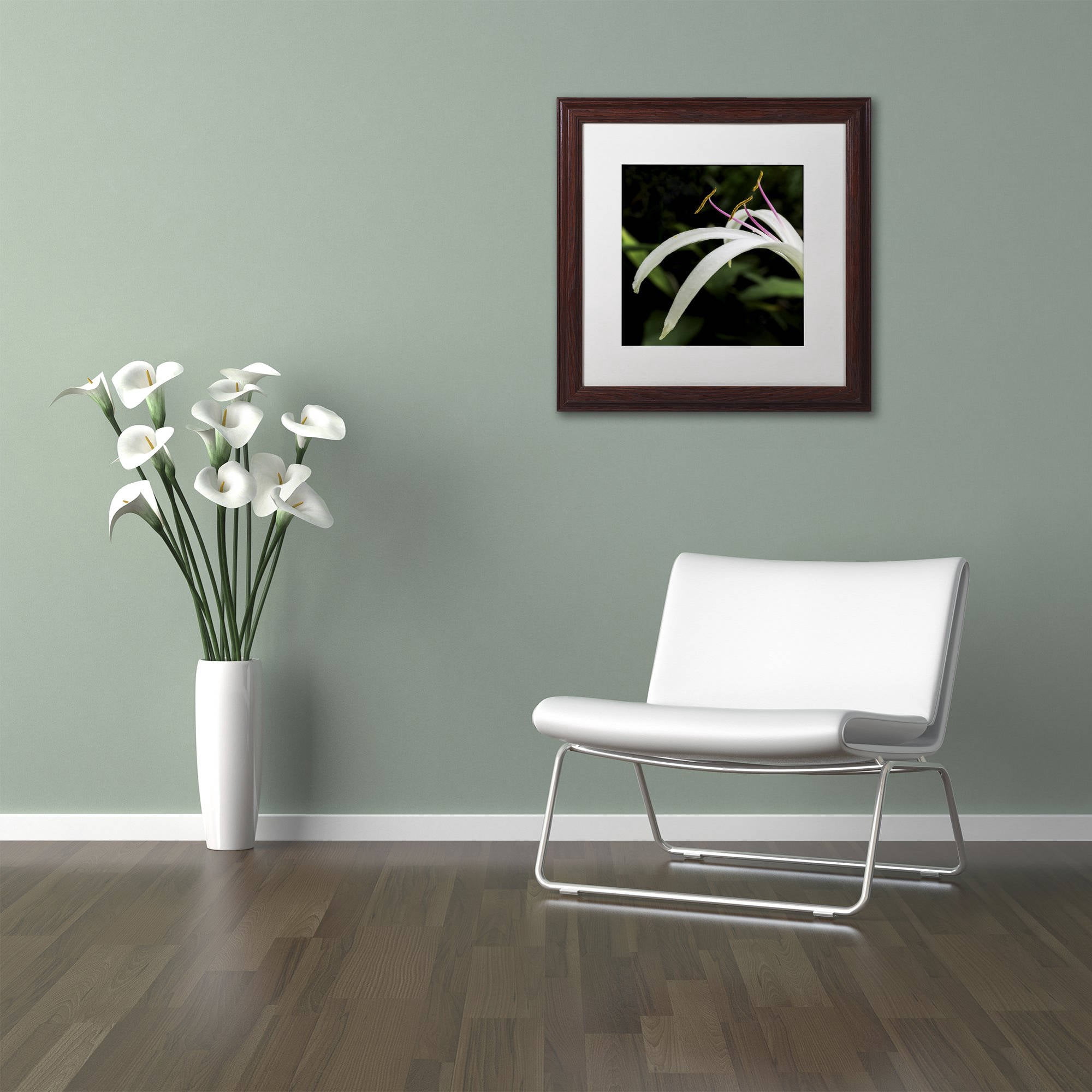Trademark Fine Art "Graceful Lily" Canvas Art by Kurt Shaffer, White Matte, Wood Frame
