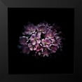 thumbnail image 2 of Carson, Brian 15x15 Black Modern Framed Museum Art Print Titled - Purple Verbena, 2 of 5